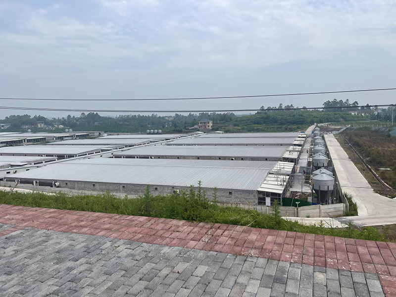 1659335840833056719.png 圖片 3.png