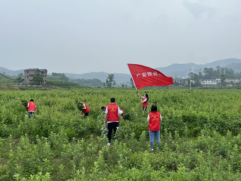 1659341050524031902.png 圖片 4.png